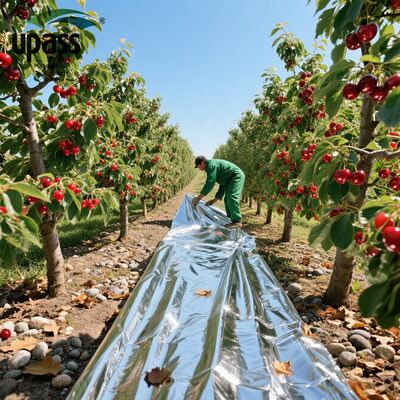 Premium agrarisch reflectief zilver blaasvorming plastic mulch film afbreekbaar onkruid voorkomend voor kersenbomen