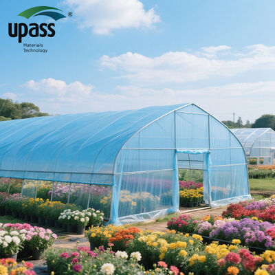 UV Resistant Agricultural Plastic Film Cover Roll Greenhouse Plastic Film From Trusted Suppliers for Agriculture
