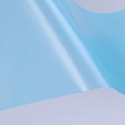 China New Manufacture Self Adhesive PE Film Release Liner for Waterproofing Roll Membrane