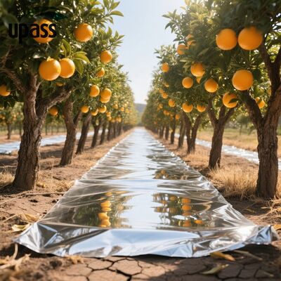 Aluminiumfolie Composiet Bodembedekkingsfolie Reflecterende Landbouw Blaasvormen Verhoogt Rode Vruchtenpercentage Fruitbomen