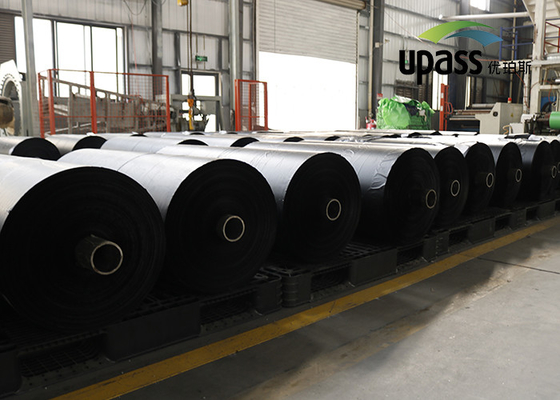 Waterdicht makende Thermische HDPE van de Versiefilm PE Silicone Met een laag bedekte Polyesterfilm